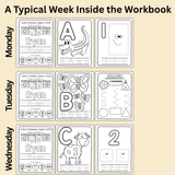 Full Year Toddler Workbooks (Ages 2-3)