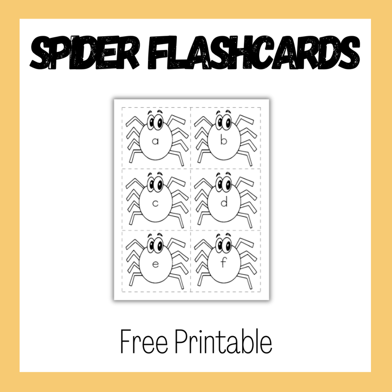 Spider Flashcards
