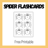 Spider Flashcards