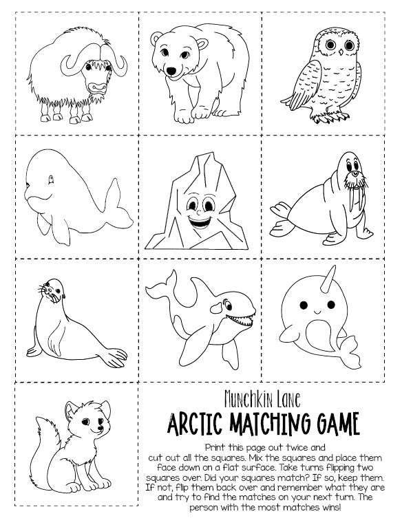 10 Matching Games Bundle