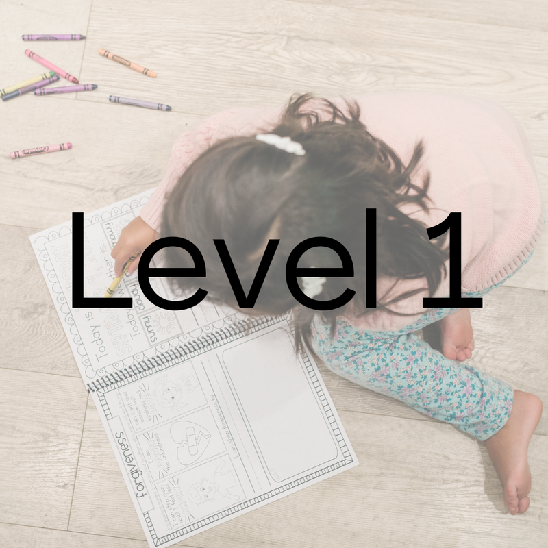 Level 1 Tri-Annual Subscription