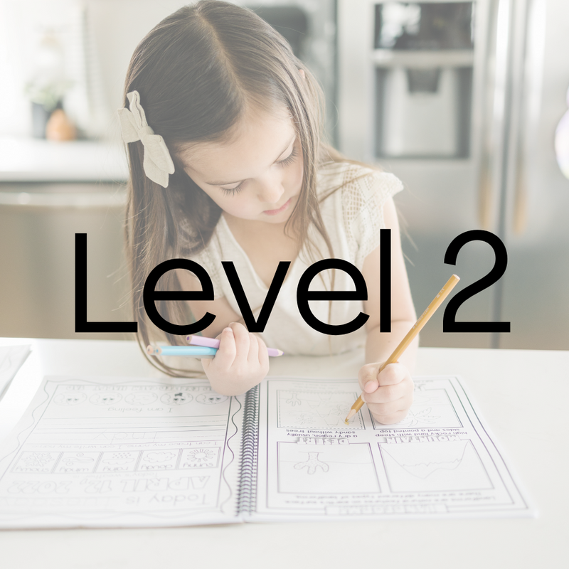 Level 2 Tri-Annual Subscription