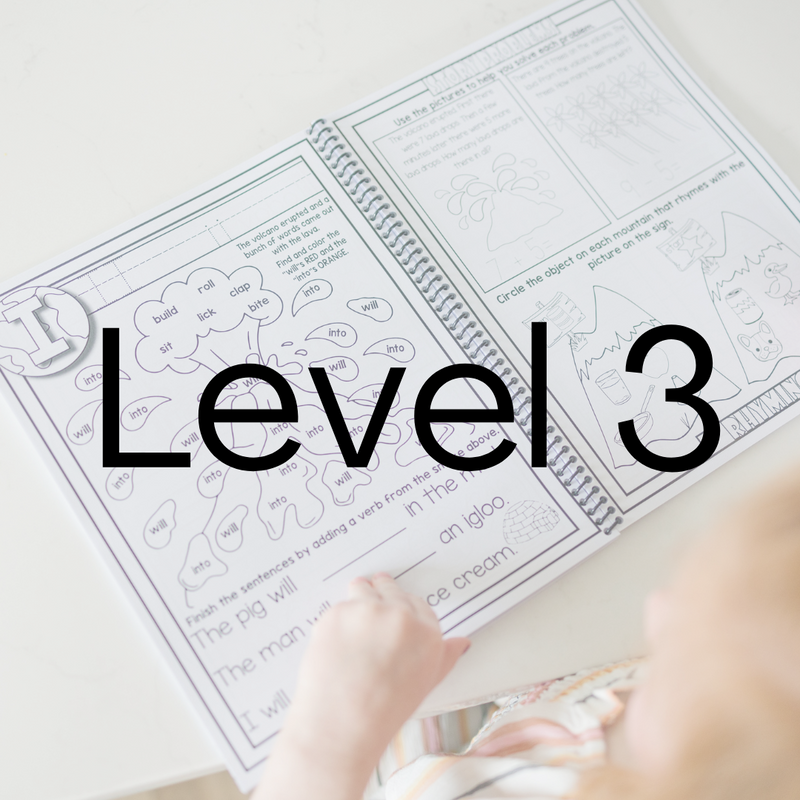 Level 3 Tri-Annual Subscription
